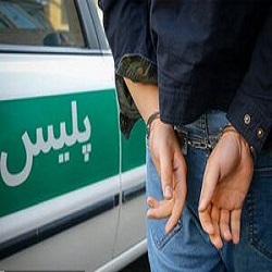 دستگیری عاملان آدم‌ربایی زن جوان در جنوب تهران