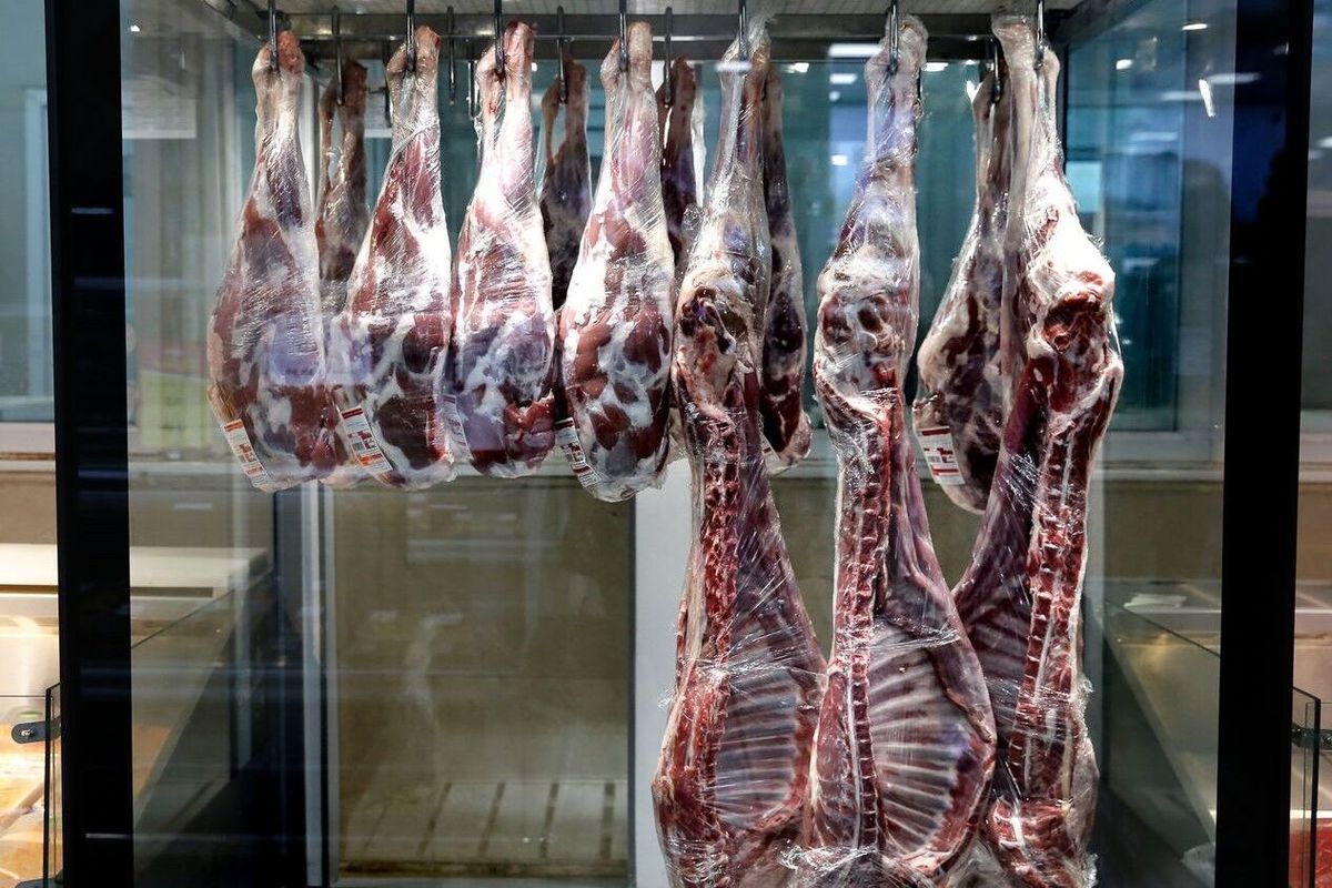 قیمت گوشت ریزش می کند؟