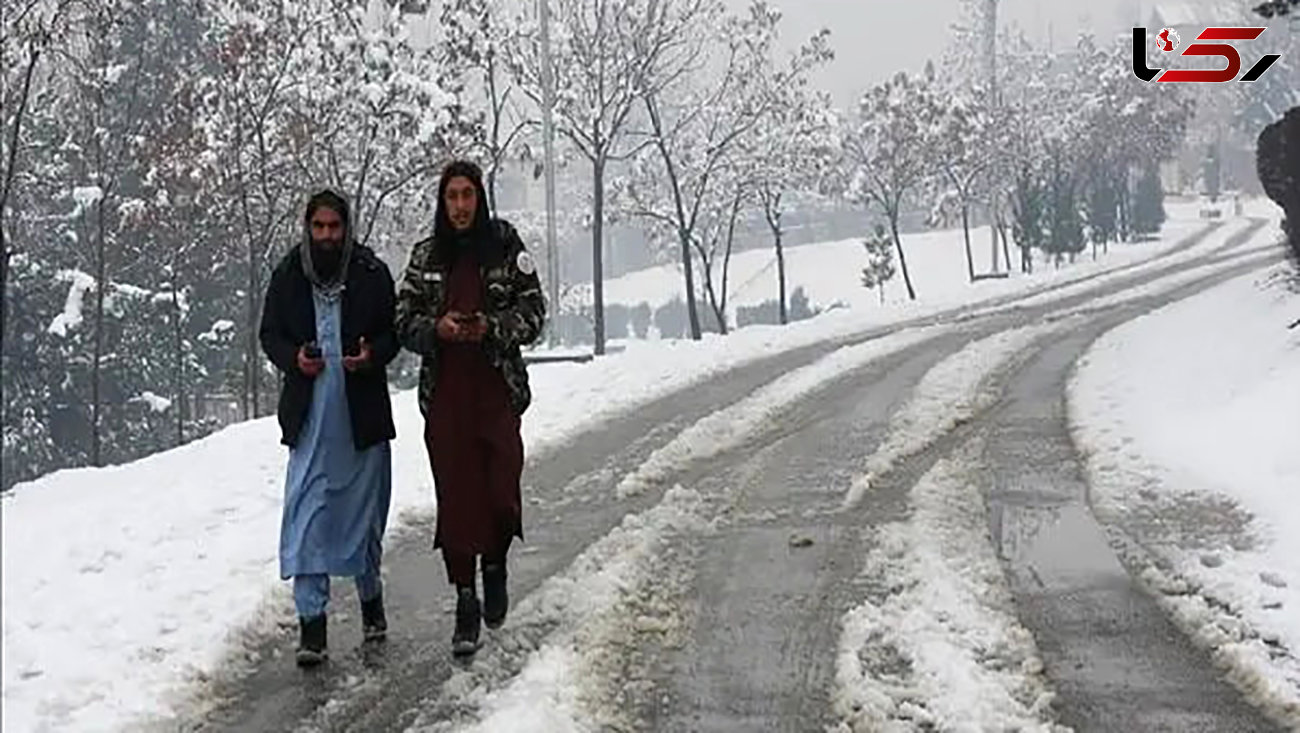 60 زن و مرد افغانستانی از سرما یخ زدند