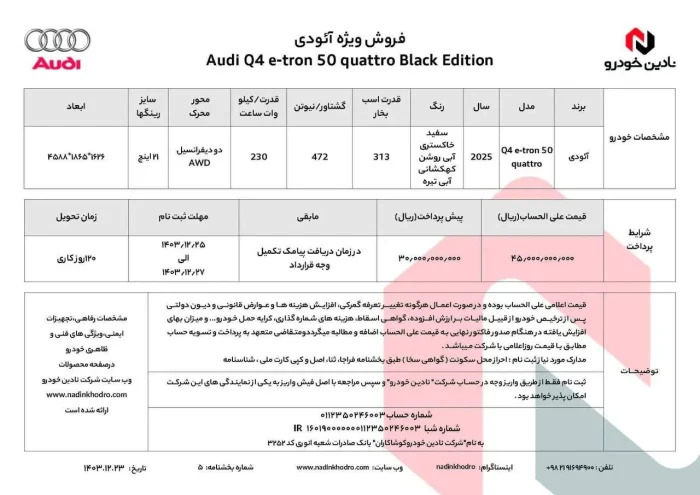 نادین-آئودی۱