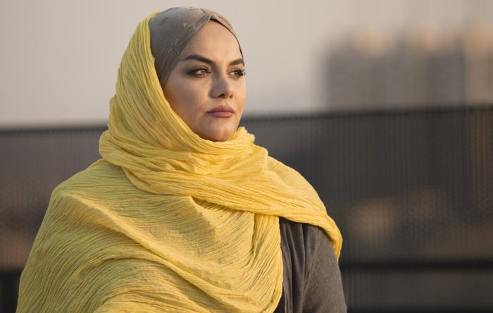 سه‌دستگی کاربران در مواجهه با توقیف «سووشون» و نماوا